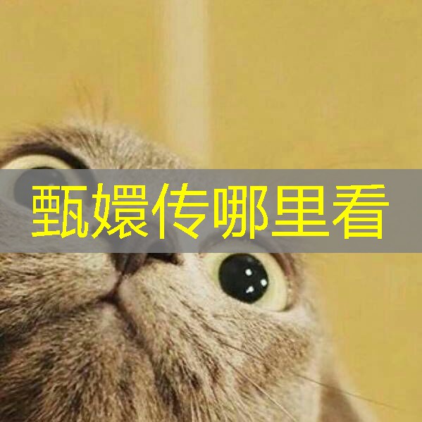 甄嬛传哪里看 甄嬛传哪里看