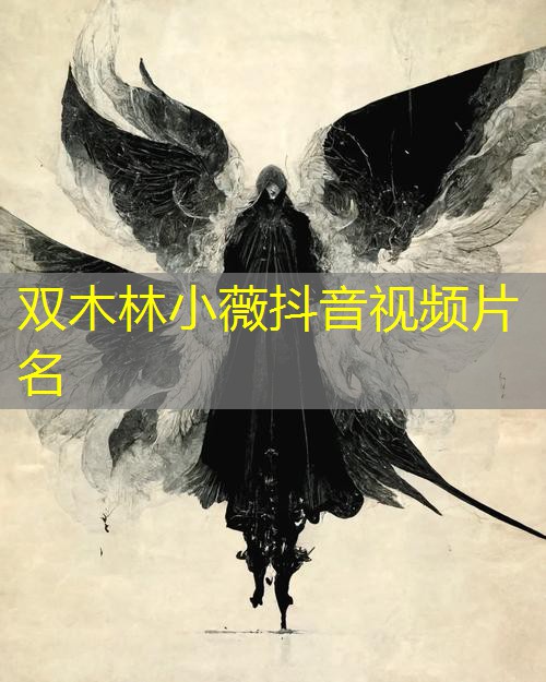 双木林小薇抖音视频片名