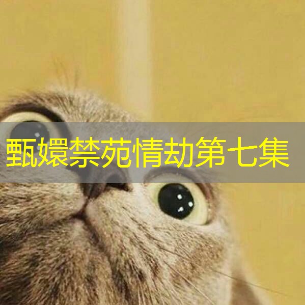 甄嬛禁苑情劫第七集