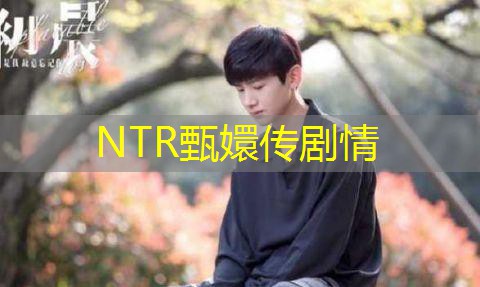 NTR甄嬛传剧情