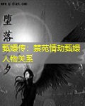 甄嬛传：禁苑情劫甄嬛人物关系