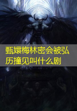 甄嬛梅林密会被弘历撞见叫什么剧 甄嬛梅林密会被弘历撞见叫什么剧
