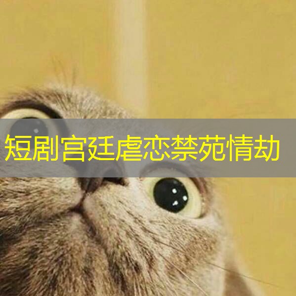 短剧宫廷虐恋禁苑情劫