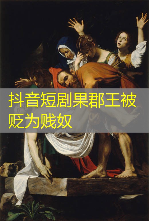 抖音短剧果郡王被贬为贱奴