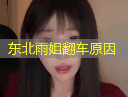东北雨姐翻车原因 东北雨姐翻车原因