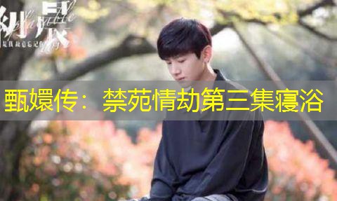 甄嬛传：禁苑情劫第三集寝浴