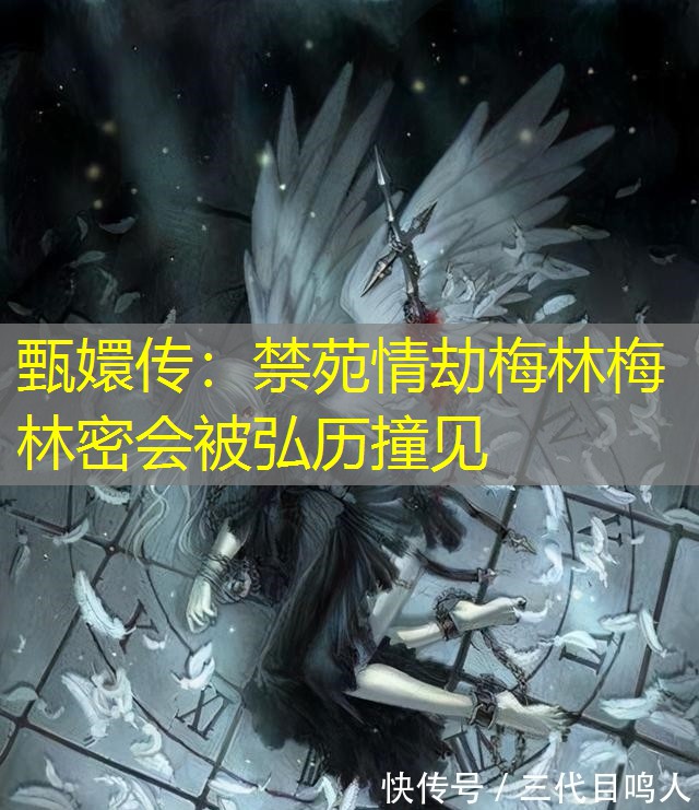 甄嬛传：禁苑情劫梅林梅林密会被弘历撞见