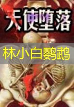 林小白鹦鹉