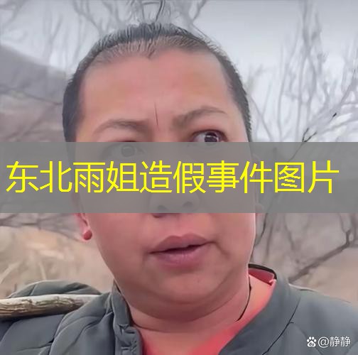东北雨姐造假事件图片 东北雨姐造假事件图片