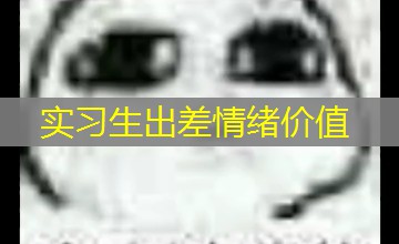 实习生出差情绪价值 实习生出差情绪价值