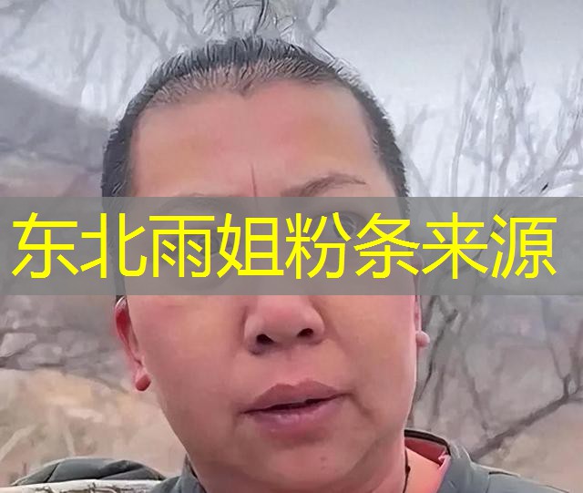 东北雨姐粉条来源 东北雨姐粉条来源
