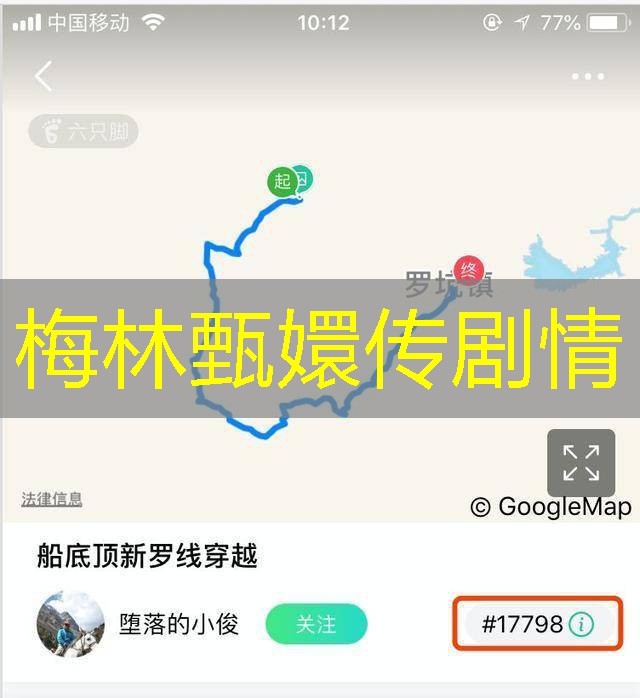 梅林甄嬛传剧情 梅林甄嬛传剧情
