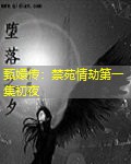 甄嬛传：禁苑情劫第一集初夜