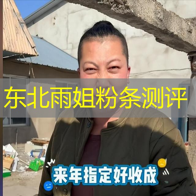 东北雨姐粉条测评 东北雨姐粉条测评