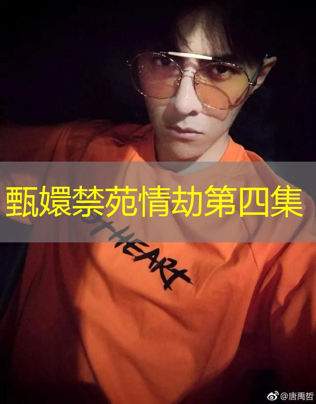 甄嬛禁苑情劫第四集 甄嬛禁苑情劫第四集