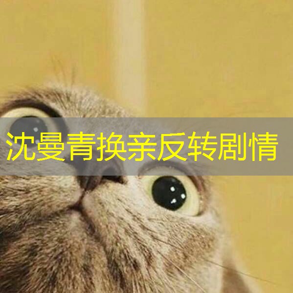 沈曼青换亲反转剧情