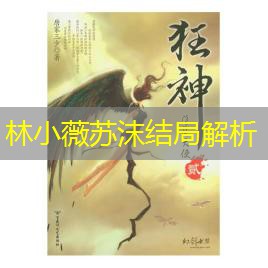 林小薇苏沫结局解析