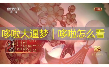 哆啦大逼梦｜哆啦怎么看