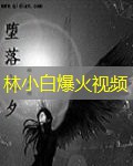 林小白爆火视频