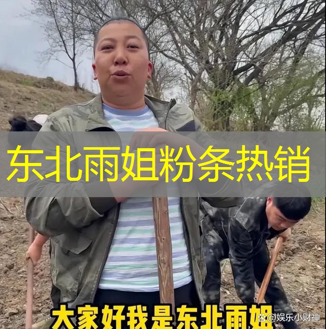 东北雨姐粉条热销 东北雨姐粉条热销