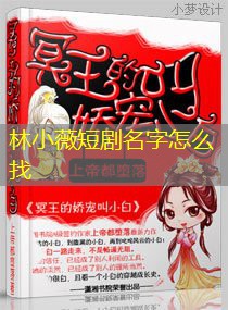 林小薇短剧名字怎么找
