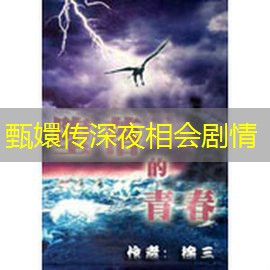 甄嬛传深夜相会剧情 甄嬛传深夜相会剧情