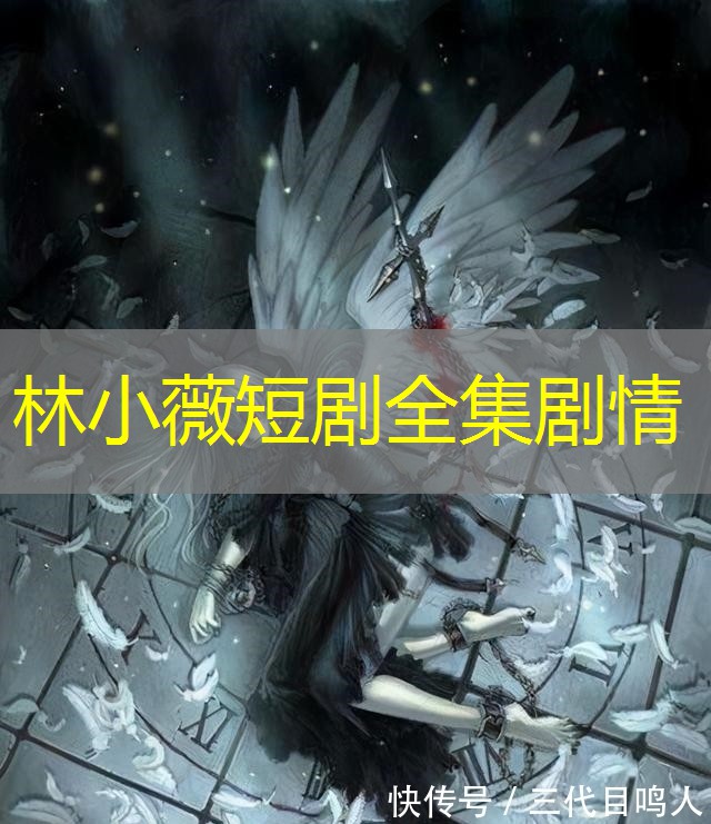林小薇短剧全集剧情 林小薇短剧全集剧情