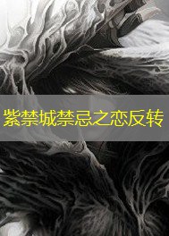 紫禁城禁忌之恋反转
