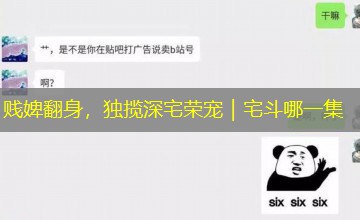 贱婢翻身，独揽深宅荣宠｜宅斗哪一集