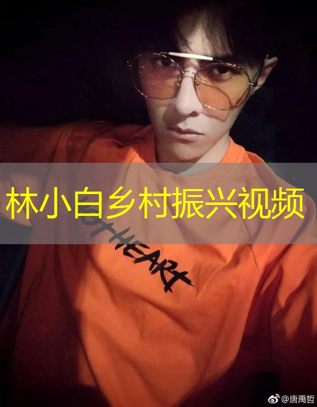 林小白乡村振兴视频