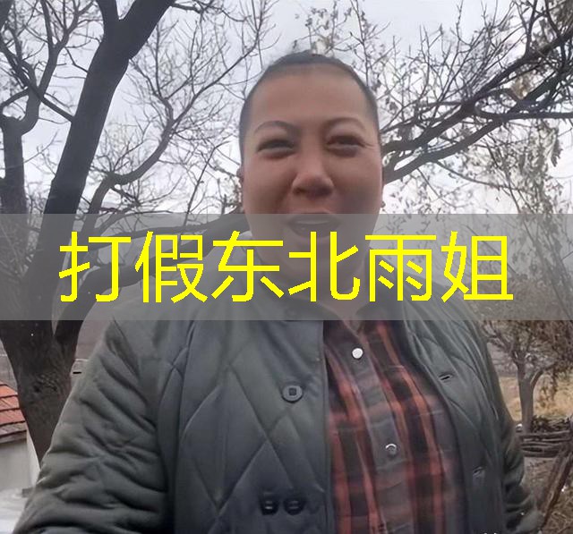 打假东北雨姐