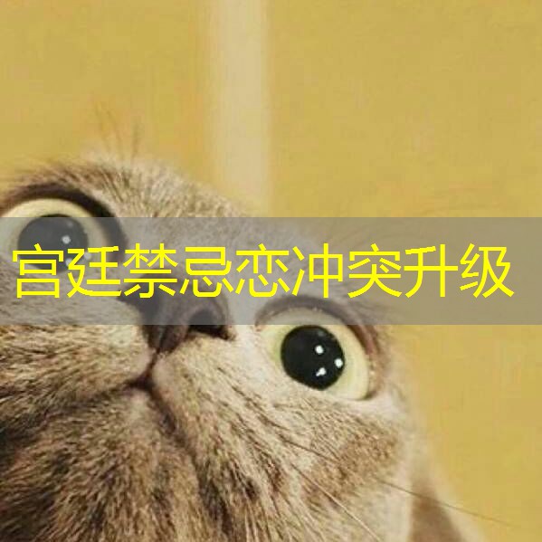 宫廷禁忌恋冲突升级