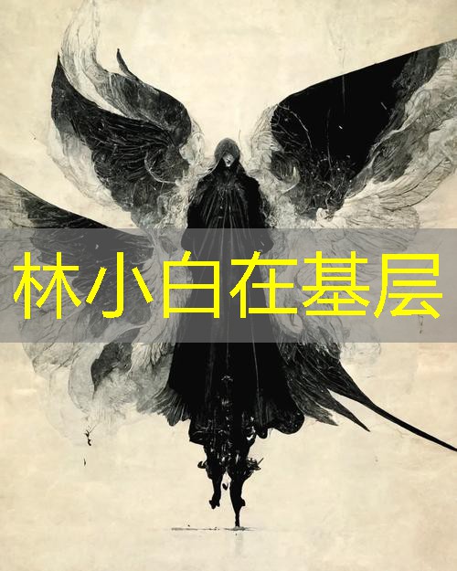 林小白在基层 林小白在基层