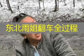 东北雨姐翻车全过程 东北雨姐翻车全过程