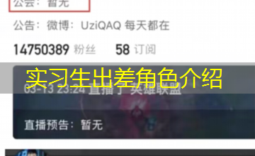 实习生出差角色介绍 实习生出差角色介绍