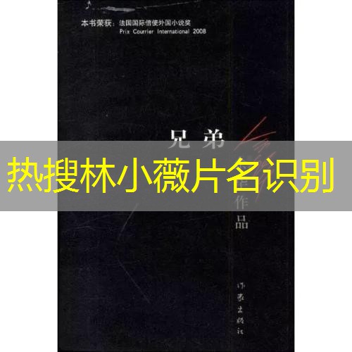 热搜林小薇片名识别