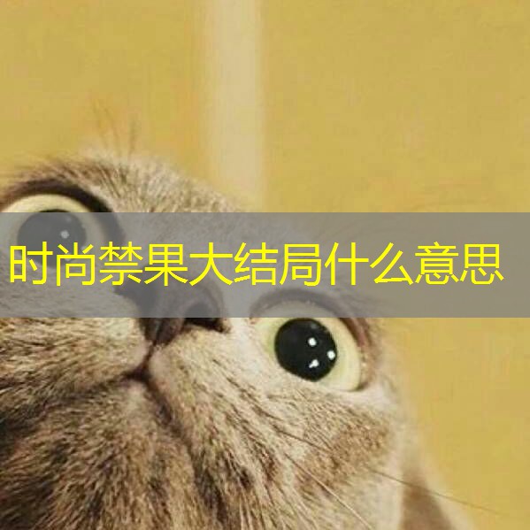 时尚禁果大结局什么意思