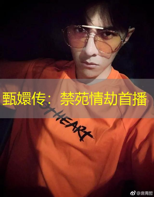 甄嬛传：禁苑情劫首播