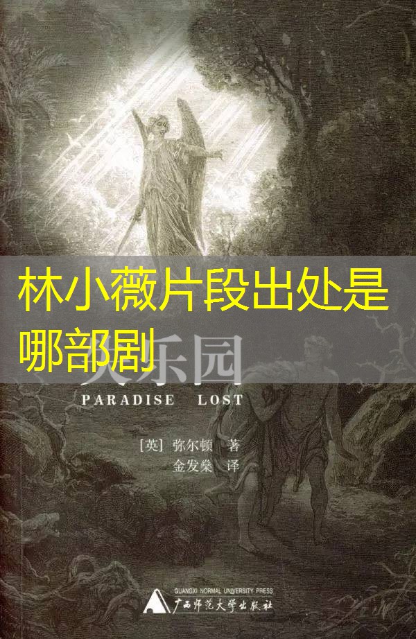林小薇片段出处是哪部剧 林小薇片段出处是哪部剧