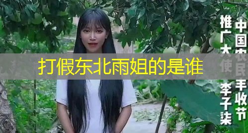 打假东北雨姐的是谁 打假东北雨姐的是谁