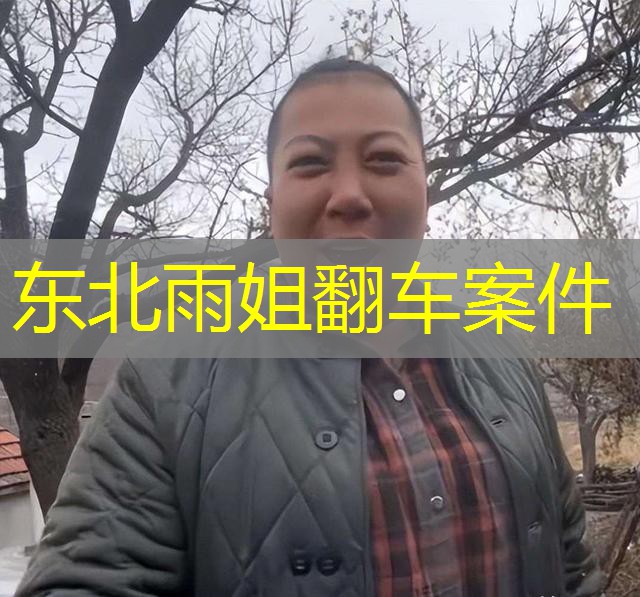 东北雨姐翻车案件 东北雨姐翻车案件