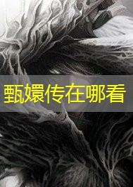 甄嬛传在哪看
