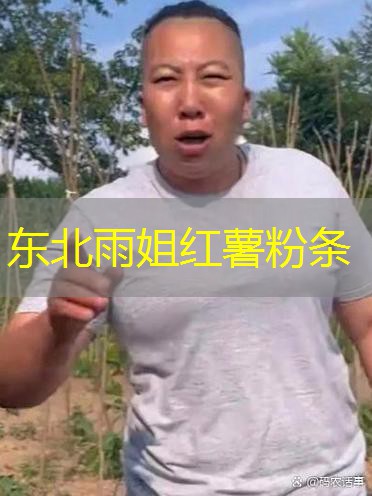 东北雨姐红薯粉条 东北雨姐红薯粉条