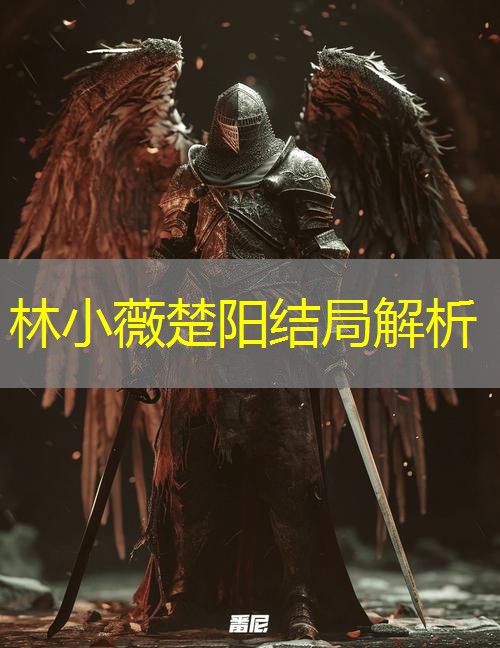 林小薇楚阳结局解析 林小薇楚阳结局解析