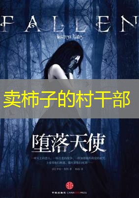 卖柿子的村干部