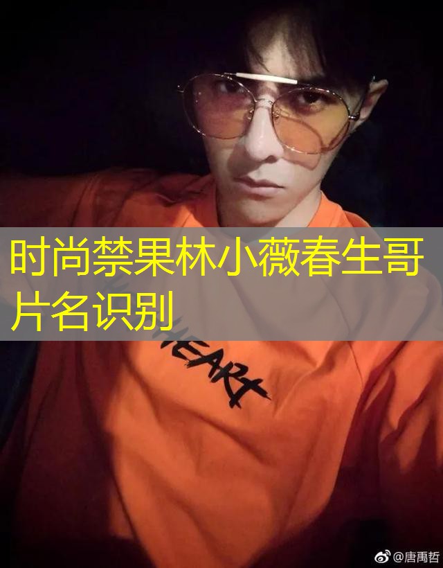 时尚禁果林小薇春生哥片名识别