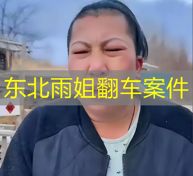 东北雨姐翻车案件 东北雨姐翻车案件