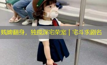 贱婢翻身,独揽深宅荣宠|宅斗求剧名 贱婢翻身,独揽深宅荣宠|宅斗求剧名