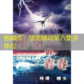 甄嬛传：禁苑情劫第六集多体位