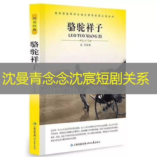 沈曼青念念沈宸短剧关系 沈曼青念念沈宸短剧关系